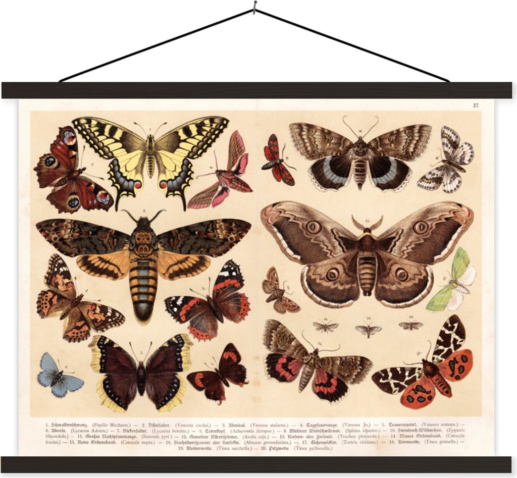 MuchoWow Textilposter Schmetterling - Vintage - Bleistift - Tiere 150x113 cm mit schwarzem Rahmen - Wohnzimmer