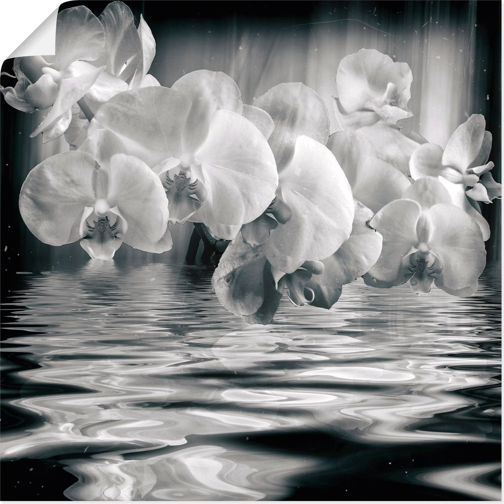 ARTland Poster Orchideen - monochrom Größe: 30x30 cm