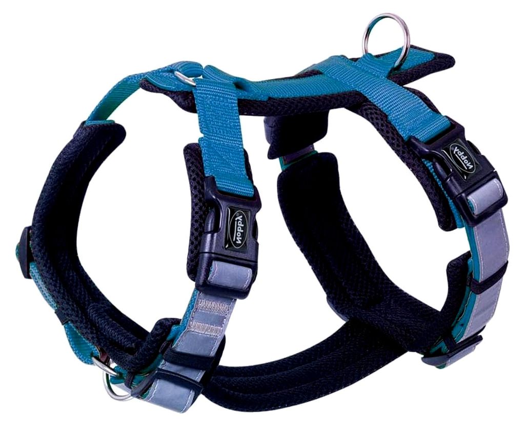 Geschirr Daily Walk Comfort, hellblau, L: Brust: 42-58 cm, Bauch: 63-86 cm, 1 Stück