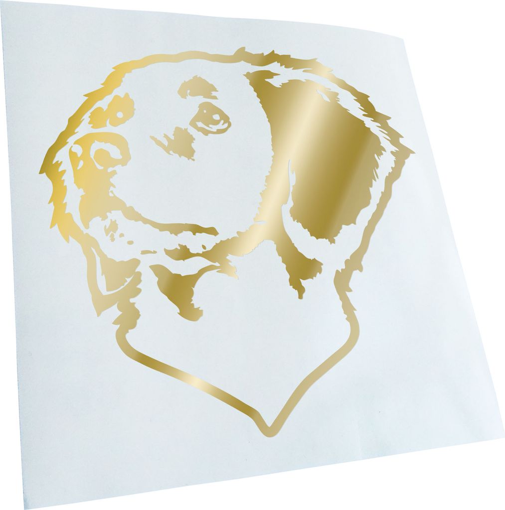 Kiwistar - Autoaufkleber - Brittany Hund - Goldchrom - 40x36cm - Aufkleber für Auto, Laptop, Fahrrad, LKW, Motorrad mehrfarbig JDM Decal Racing