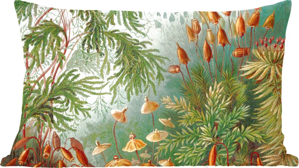 MuchoWow Zierkissen Sofakissen Wohnzimmer Dekokissen 50x30 cm Alte Meister - Kunst - Muscinae - Haeckel - Wohnzimmerdekoration - Polster mit Photo