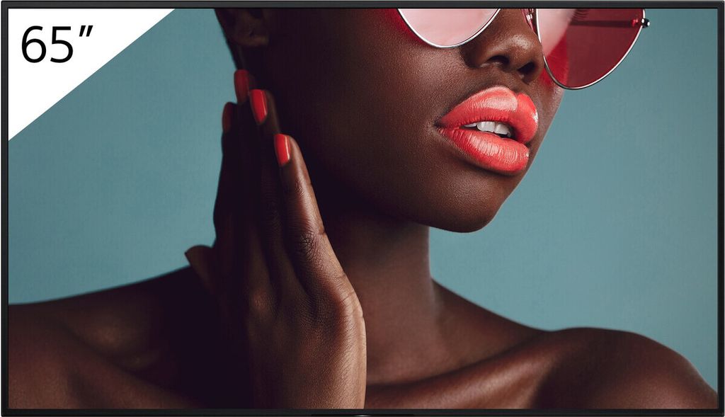 Sony 65" Pro BRAVIA LCD 700nit Haze