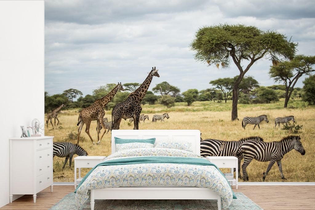 MuchoWow Fototapete für Wohnzimmer oder Schlafzimmer Wandtapete Vinyl Motivtapete Giraffen und Zebras gemeinsam in den Savannen des Serengeti-Na...