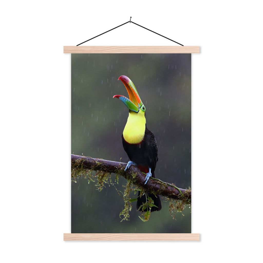 MuchoWow Textilposter Tukan im Regen 40x60 cm mit holzfarbenen Rahmen - Poster