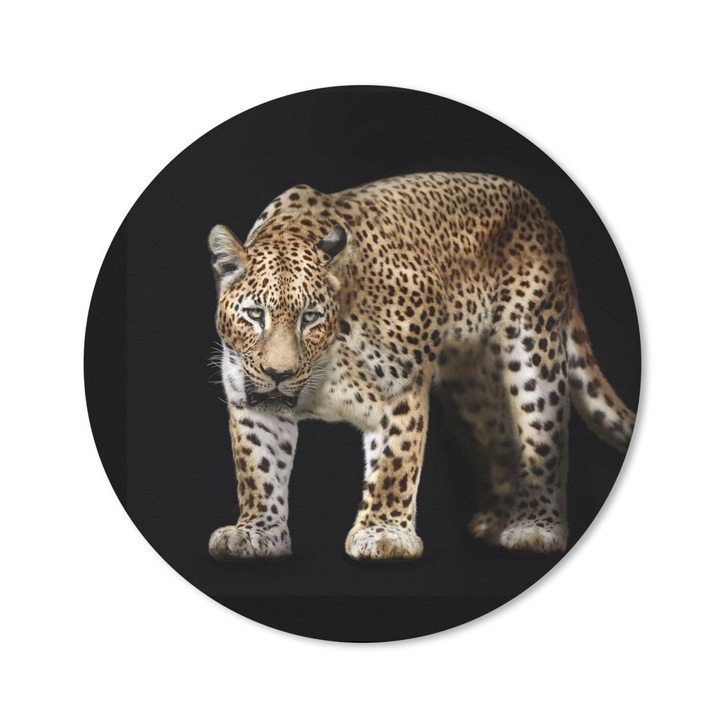 MuchoWow Mauspad Mousepad Leopard - Fell - Wild 40x40 cm - Mousepads - Maus Mat - Pad - Mausunterlage - Schreibtisch Accessoires