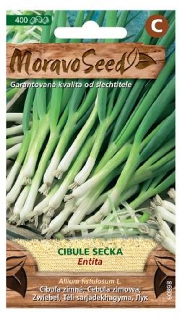 Cibule zimní ENTITA, sečka 60898 Obrázek produktu 
