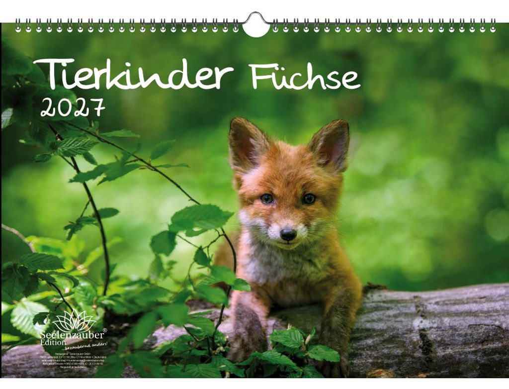 Tierkinder Füchse DIN A3 Kalender für 2027 Fuchs und Füchse - Seelenzauber