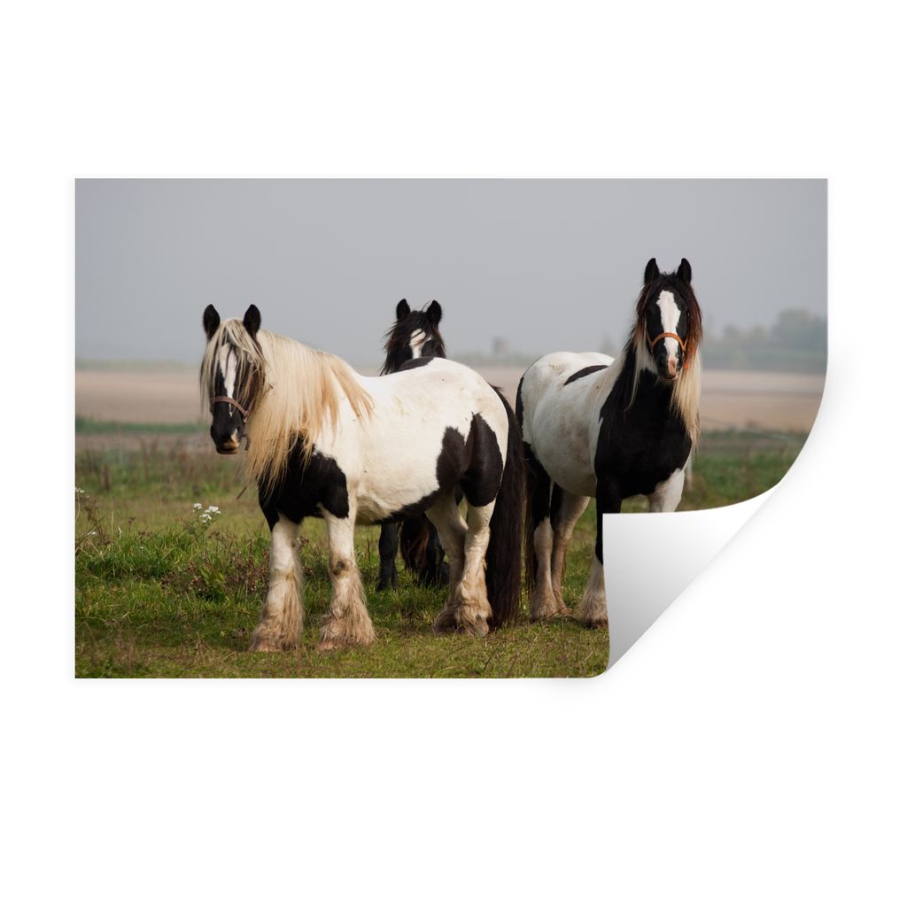 MuchoWow Wandtattoo Wandsticker Wandaufkleber Gruppe von Tinkern 120x80 cm Selbstklebend und Repositionierbar - Selbstklebend - Fototapeten