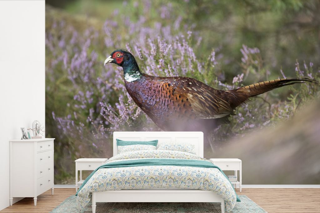 MuchoWow Fototapete für Wohnzimmer oder Schlafzimmer Wandtapete Vinyl Motivtapete Fasan - Blumen - Gras - 525x350 cm - Das Hintergrundbild