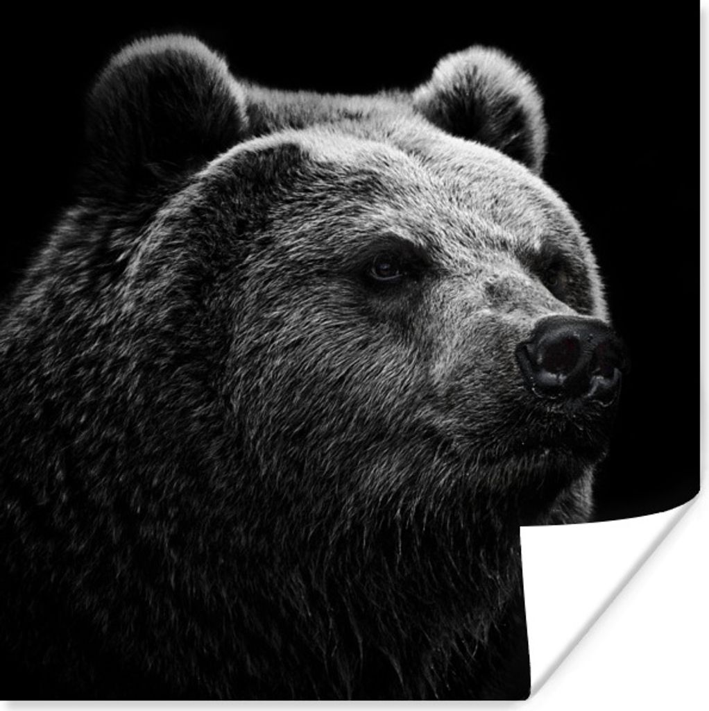 MuchoWow Poster Bär - Leicht - Schwarz 75x75 cm - Wand Dekoration