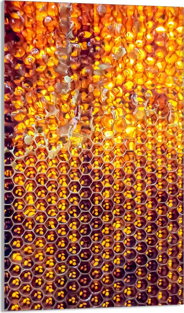 Herdabdeckplatte 30x52 Glaskeramikkochfeld Abdeckung Spritzschutz Glasplatte Deko Schneidebrett, Schwarz Orange