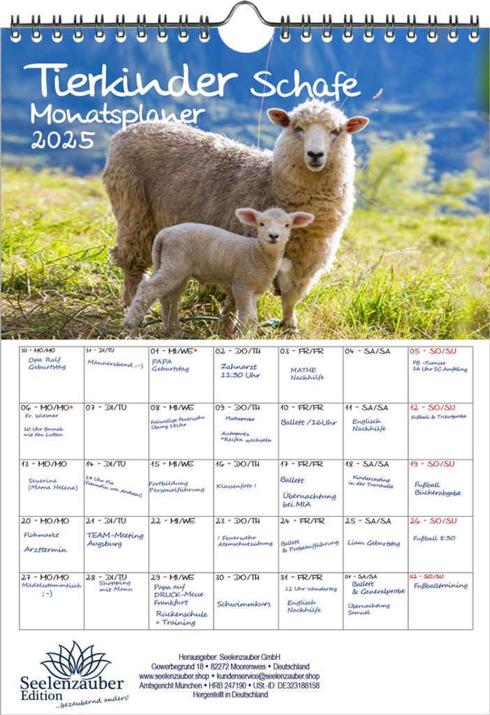 Tierkinder Schafe Planer DIN A4 Kalender für 2025 Tierbabys und Tierkinder - Seelenzauber