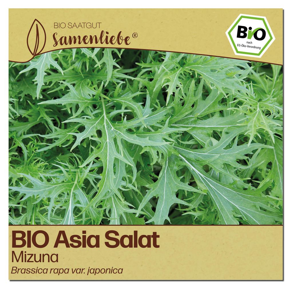 Samenliebe  Asia Salat Samen | Mizuna - winterhart & mild - Produktbild 