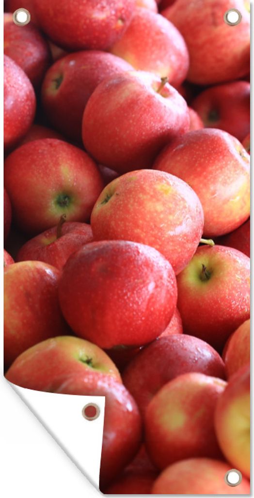 MuchoWow 30x60 cm Outdoor-Poster Gartendeko Sichtschutz Garten Poster für den Garten Apfel - Rot - Obst