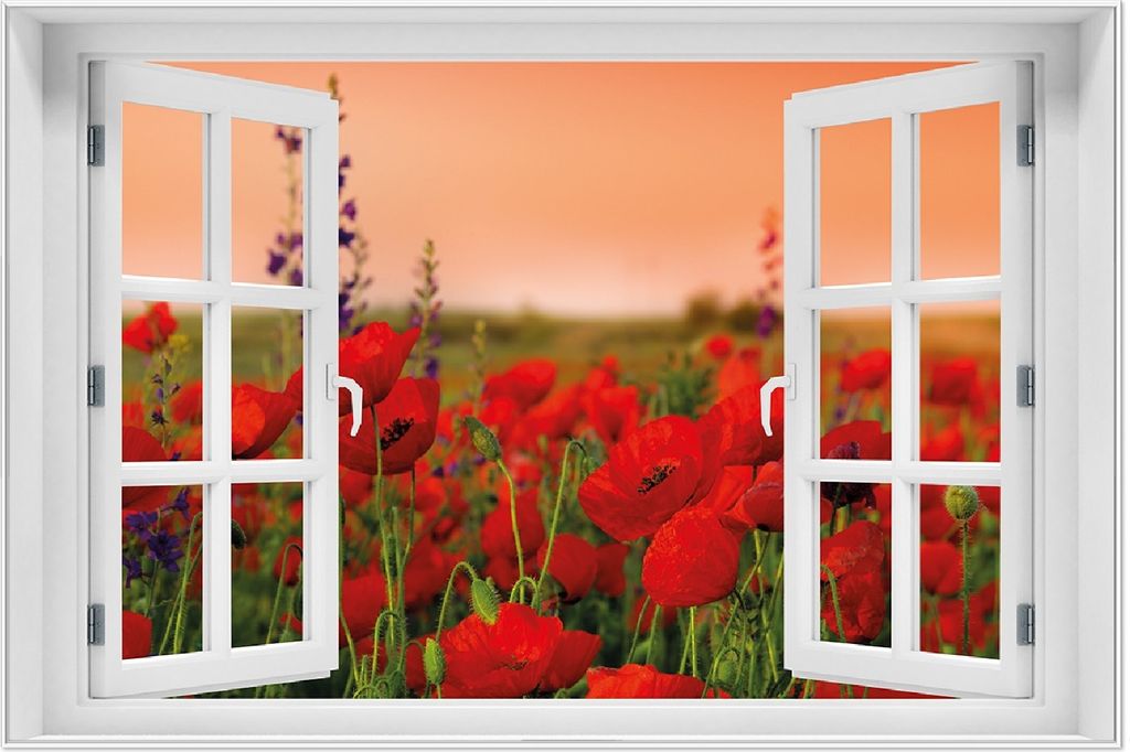 Wallario Wandbild mit Fenster-Illusion: Mohnblumen auf dem Produktbild 