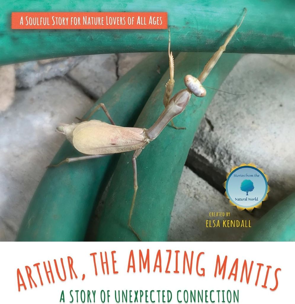 Arthur, The Amazing Mantis