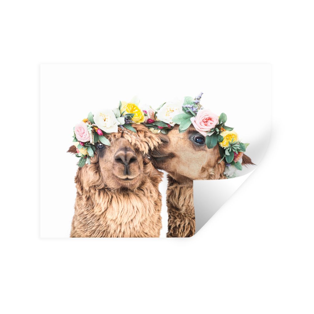 MuchoWow Wandtattoo Wandsticker Wandaufkleber Alpaka - Blumen - Tiere - Natur 80x60 cm Selbstklebend und Repositionierbar - Faltenfrei