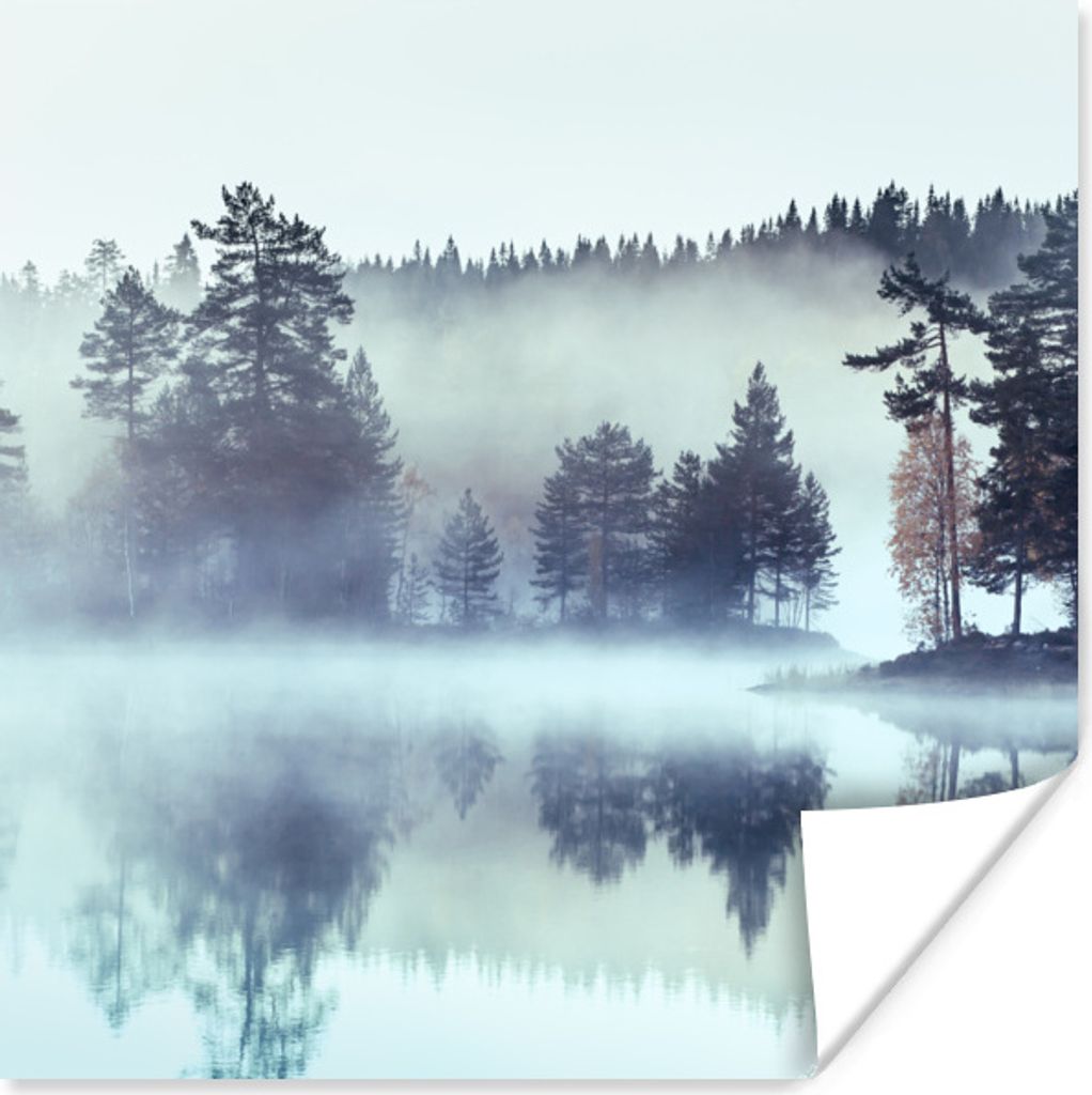 MuchoWow Poster Wald - Nebel - Winter 30x30 cm - Wandposter - Printing