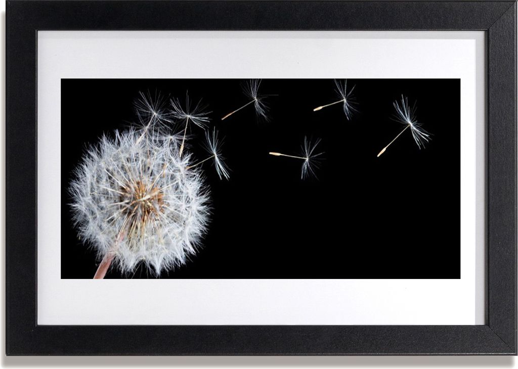 Bild 30x20 MDF-Rahmen Wandkunst Löwenzahn Blumen Natur