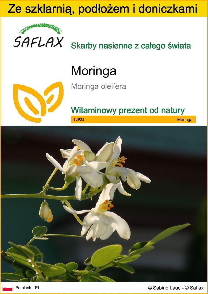 SAFLAX - Zestaw do uprawy - Moringa - 10 Nasiona - Z mini Zdjęcie produktu 