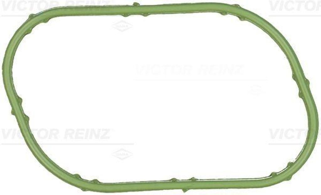 REINZ 71-19434-00 Ansaugkrümmer-Dichtung FPM (Fluor-Kautschuk) für LAND ROVER Range Rover Sport (L320) für JAGUAR XF (J05, CC9)