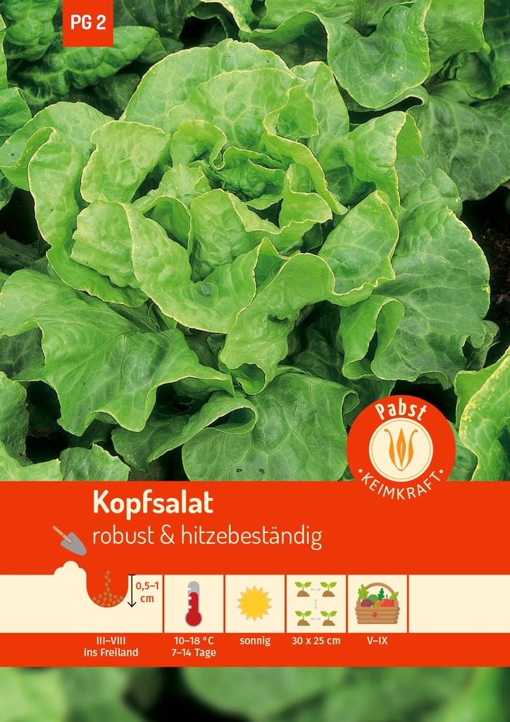 Kopfsalat Attractie | Kopfsalatsamen von Carl Pabst Produktbild 