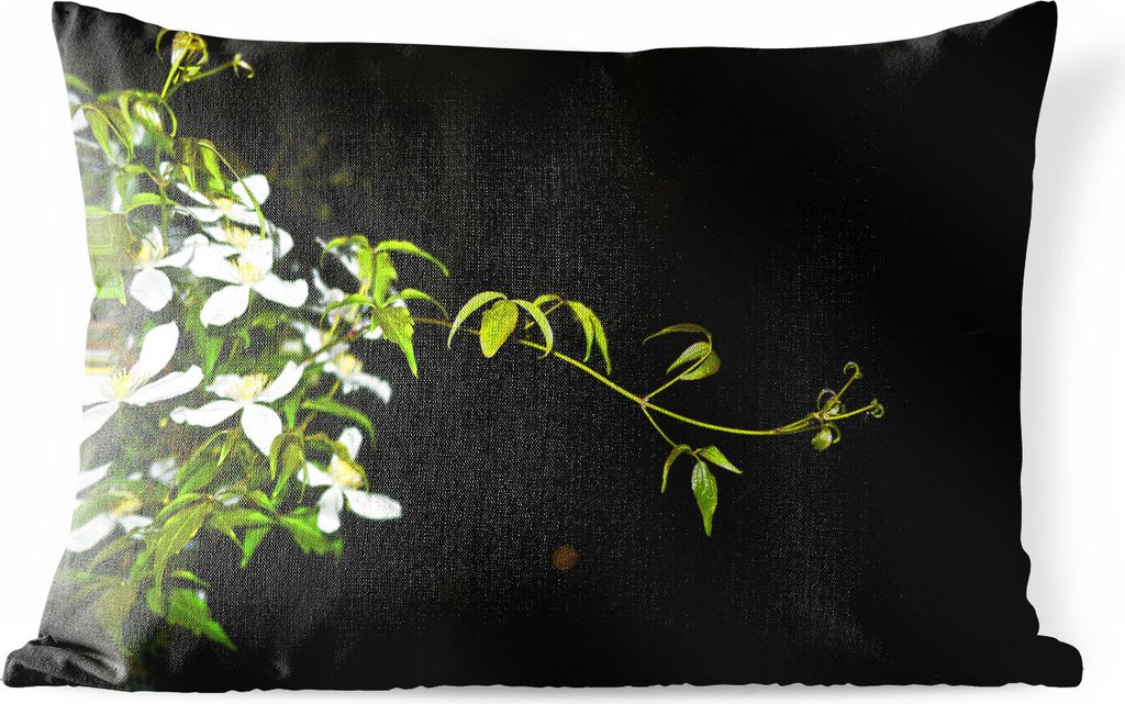 MuchoWow Outdoor Kissen - Ein kriechender Zweig einer weißen Clematis auf schwarzem Hintergrund - 50x30 cm - Wetterfest - Lounge Kissen - Sofa k...