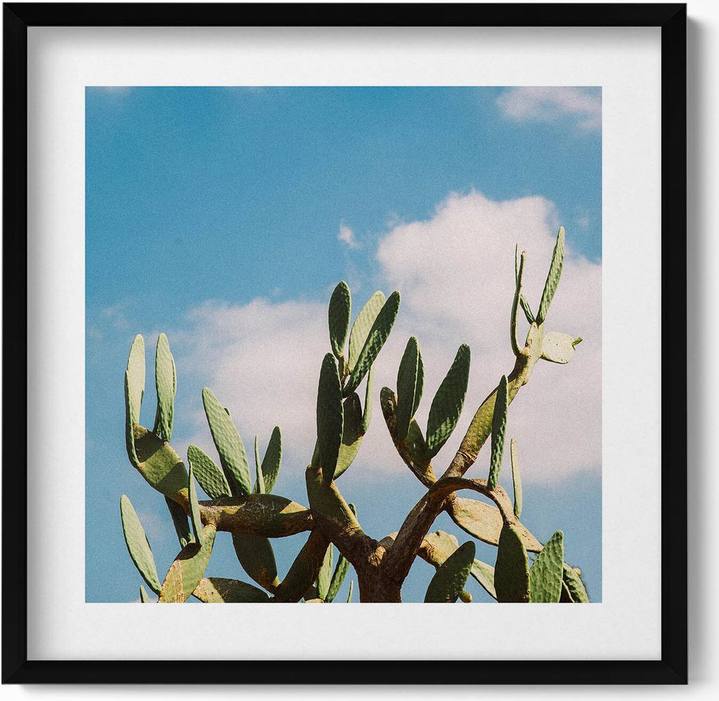 Kaktus gegen den Himmel– Wandbild mit Rahmen – Gerahmtes Bild – Wanddekoration – 50x50 cm – Schwarz Rahmen