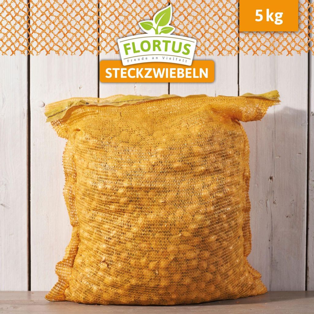 Wintersteckzwiebel Shakespeare | Steckzwiebeln von FLORTUS, Menge:5 kg