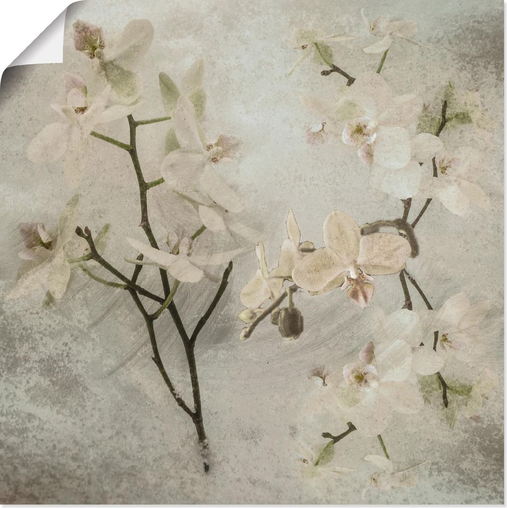 ARTland Poster Orchideen Größe: 30x30 cm