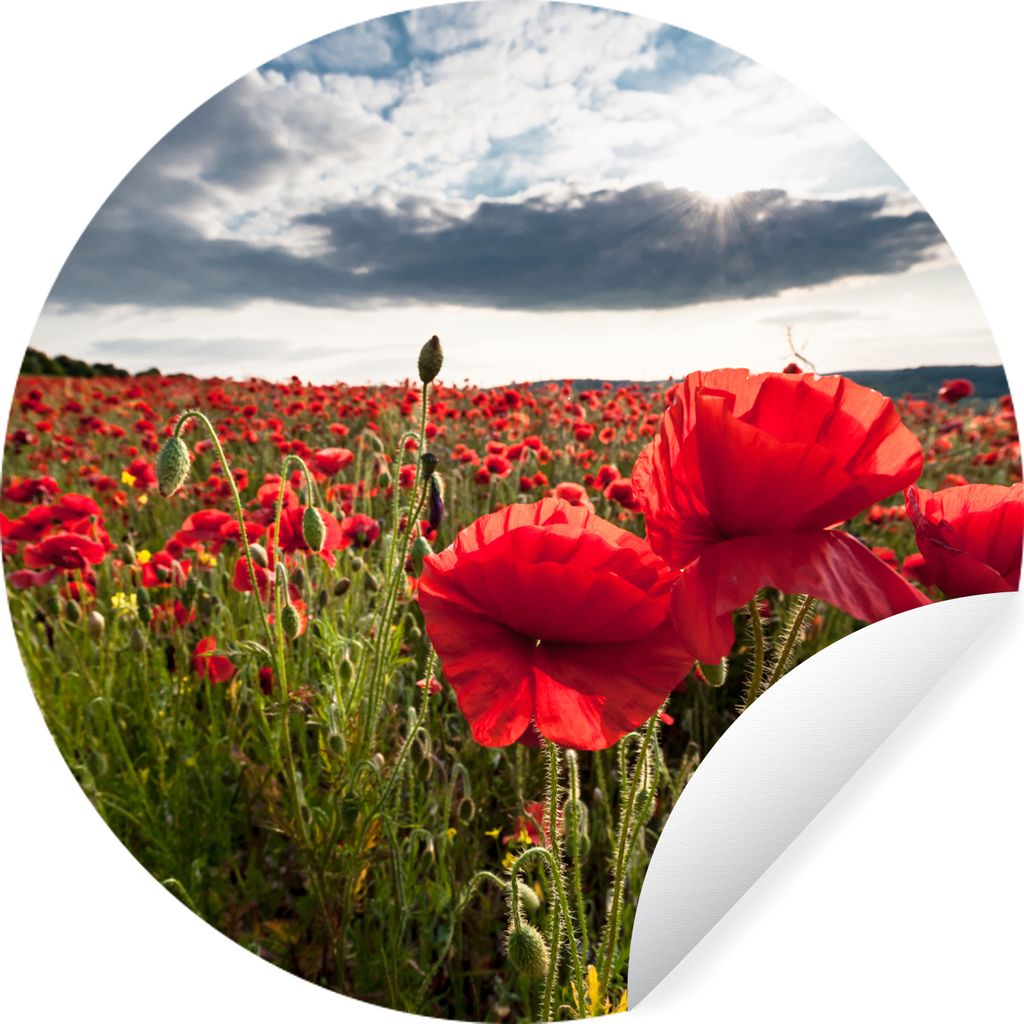 MuchoWow Runde Wandtattoo - Wandsticker Tapete Aufkleber Mohnblumen vor einem dramatischen, stürmischen Himmel Ø 50 cm Selbstklebend und Reposi...