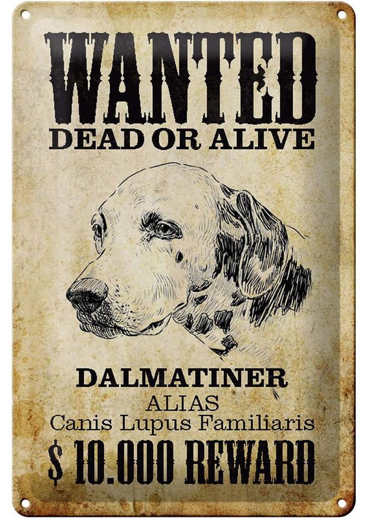Blechschild Hund 20x30cm wanted dead Dalmatiner Schild