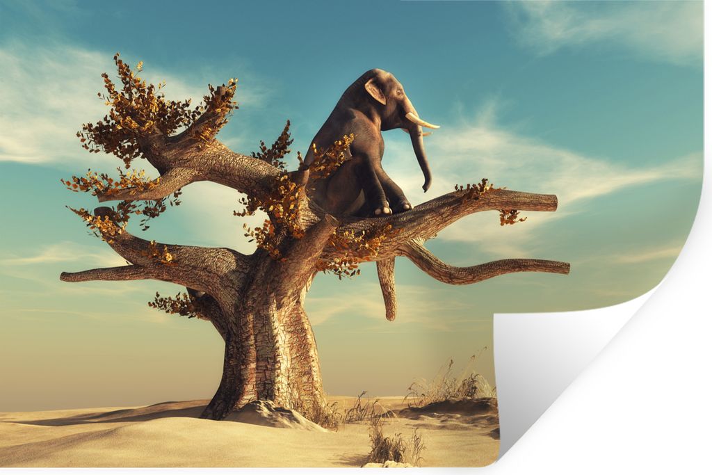 MuchoWow Wandtattoo Wandsticker Wandaufkleber Elefant - Baum - Natur - Wüste 60x40 cm Selbstklebend und Repositionierbar - Wierderverwendbar - S...