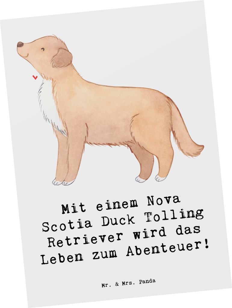 Mr. & Mrs. Panda Postkarte Nova Scotia Duck Abenteuer - Weiß - Geschenk, Hunderasse, Erlebnisse, Familie, Hunderassen Pflege, bildkarte, Überrasc...