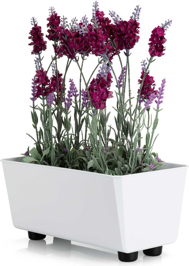 HowHomely | Pflanzkasten - Salvia - 28,5x17 cm - Weiß - Minimalistisches Design - Wetterfest und Pflegeleicht