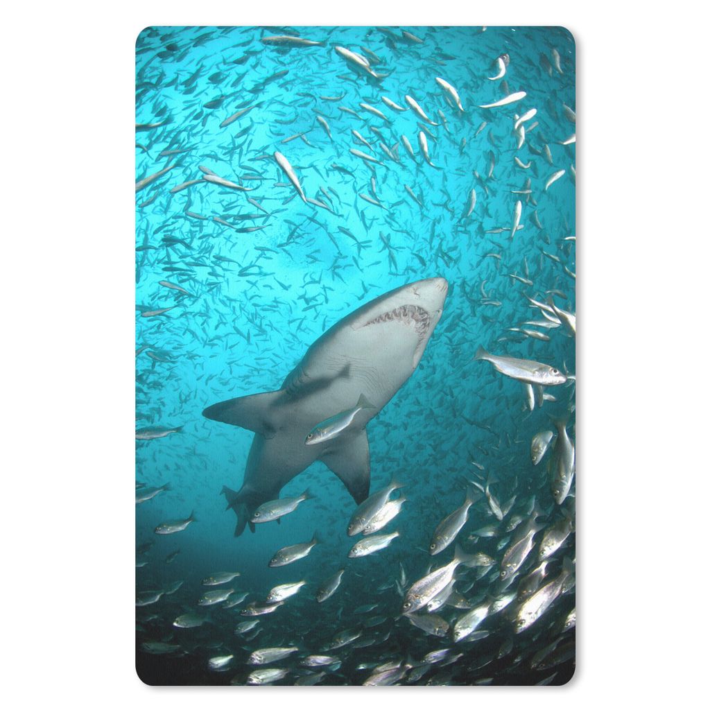 MuchoWow Mauspad Mousepad Ein Hai unter Fischen 40x60 cm - Mousepads - Maus Mat - Pad - Mausunterlage - Schreibtisch Accesoire