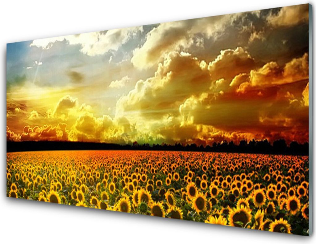 Küchenrückwand aus Glas 100x50cm Spritzschutz Wiese Sonnenblumen Pflanzen