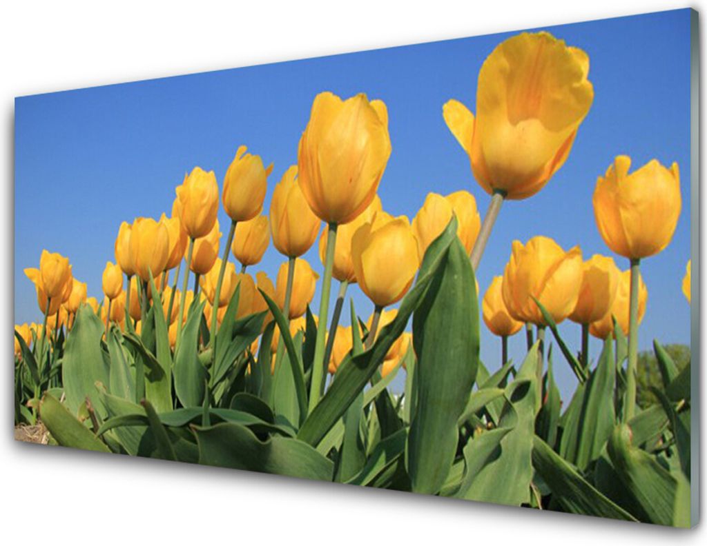 Acrylglasbilder 100x50 Wandbild Druck Tulpen Pflanzen Produktbild 