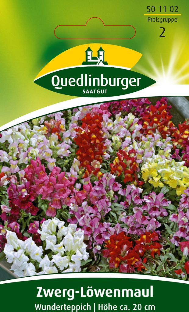 Zwerg-Löwenmaul, Wunderteppich Produktbild 