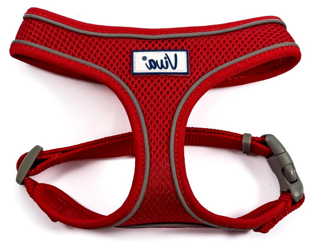 Bequemes Mesh-Hundegeschirr
