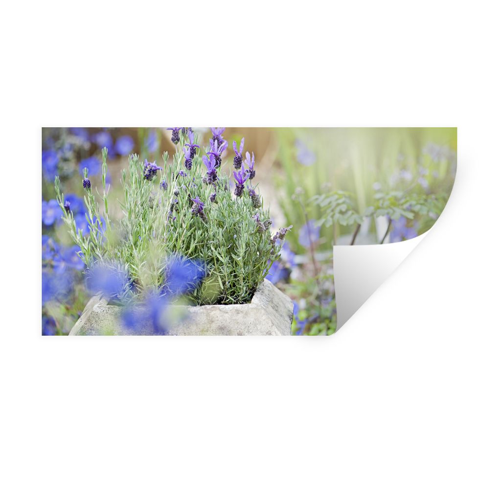 MuchoWow Wandtattoo Wandsticker Wandaufkleber Nahaufnahme von Lavendel in einem Garten 40x20 cm Selbstklebend und Repositionierbar - Aufkleber