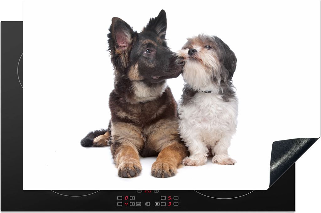 KitchenYeah Herdabdeckplatte Boomer mit einem anderen Hund , 81x52cm, Küche Deko, Glaskeramikfeld Herdabdeckung, Abdeckplatte fùr Kochfeld