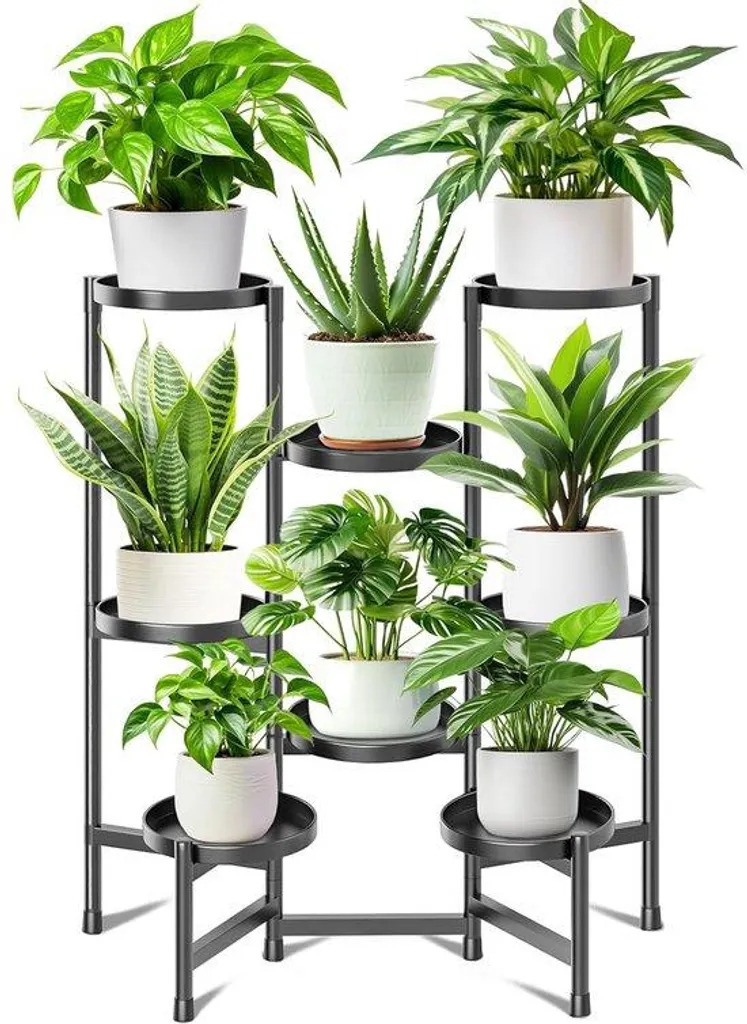 Présentoir plantes multi-étages noir pour jardin d'hiver et terrasse