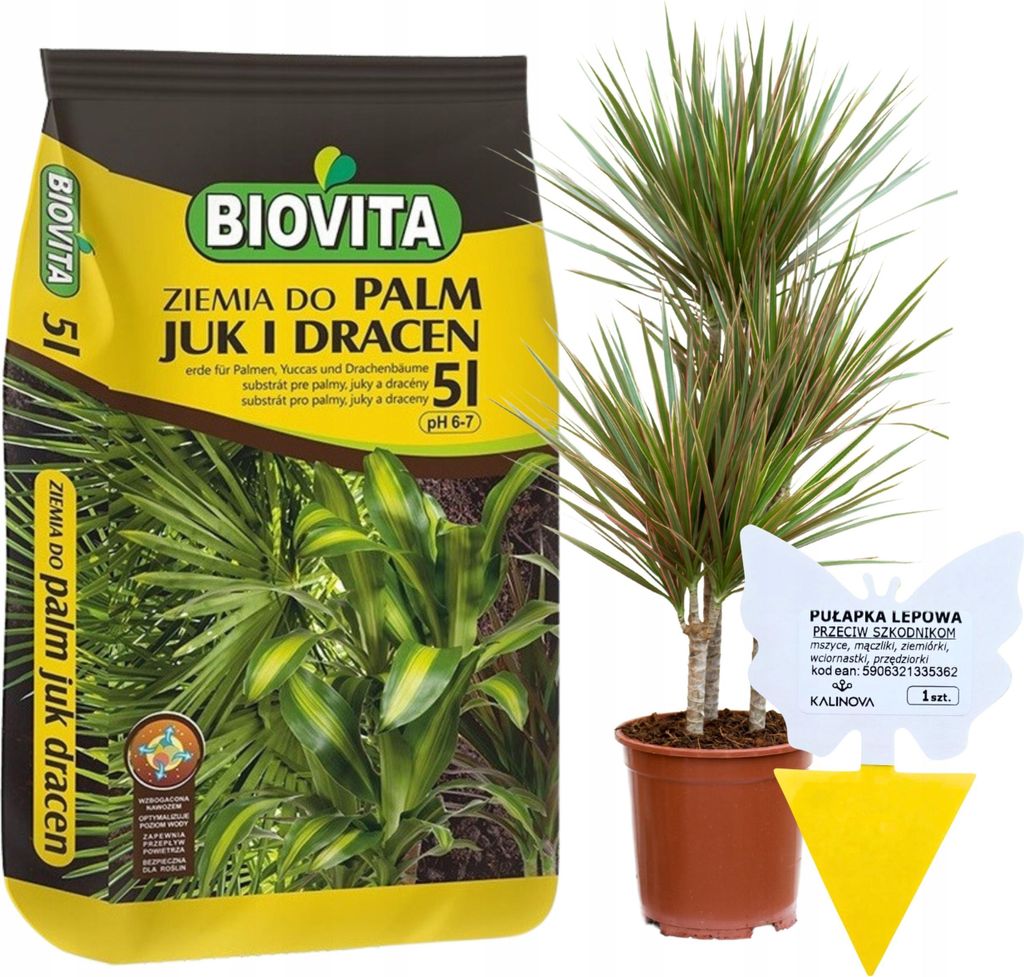 A bag of potting soil and a potted plant are displayed together, along with an insect trap.