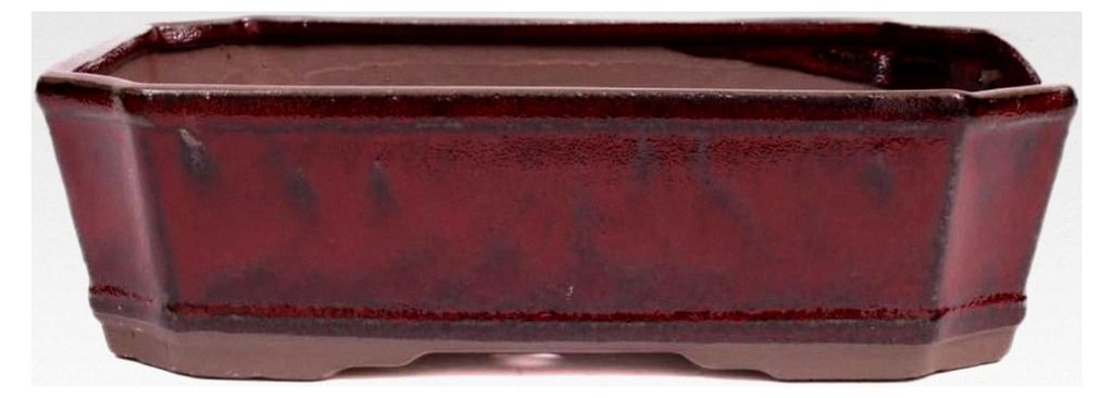 Bonsai - Eckige Schale 26 x 20 x 7,5 cm Bordeaux