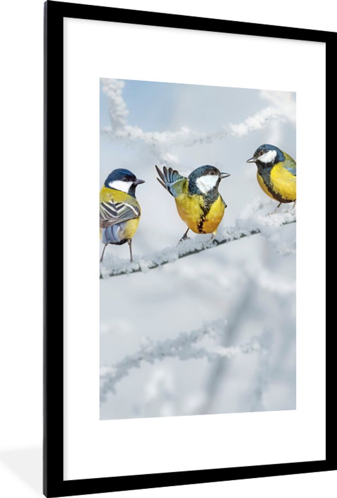 MuchoWow Gerahmtes Poster Vogel - Kohlmeise - Winter - Schnee - Zweige 60x90 cm - Poster mit Schwarzem Bilderrahmen Wandposter Rahmen Foto Bilder...