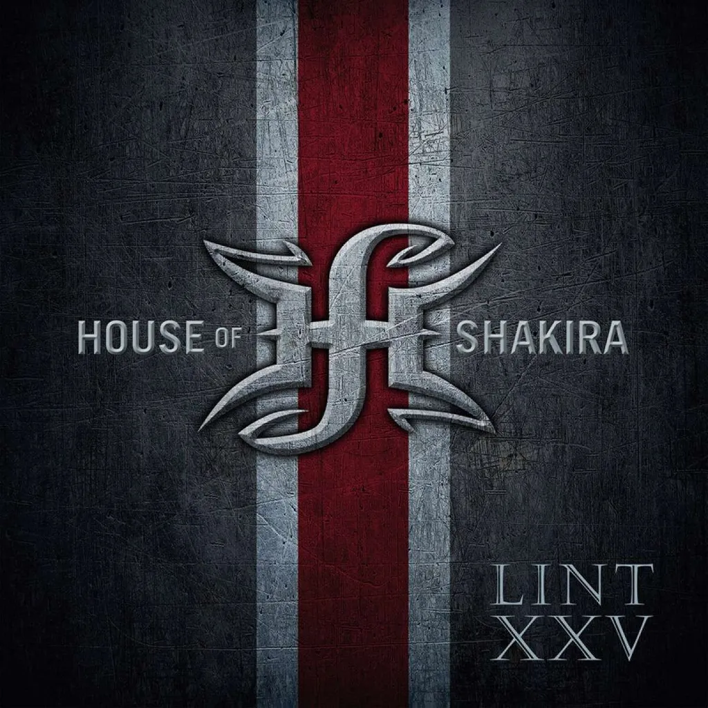 Lint XXV Album Musique Réédition Remasterisée - Disque Audio Haute Fidélité