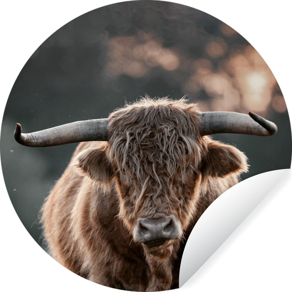 MuchoWow Runde Wandtattoo - Wandsticker Tapete Aufkleber Kuh - Schottischer Hochländer - Hoorn Ø 30 cm Selbstklebend und Repositionierbar - Wan...