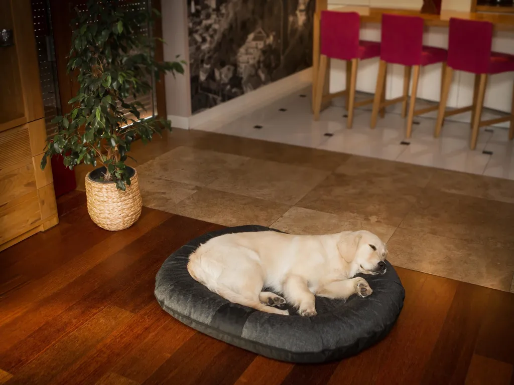 Offerta Letto per Cani 100x80 PillowPrim | Resistente e Lavabile - 2