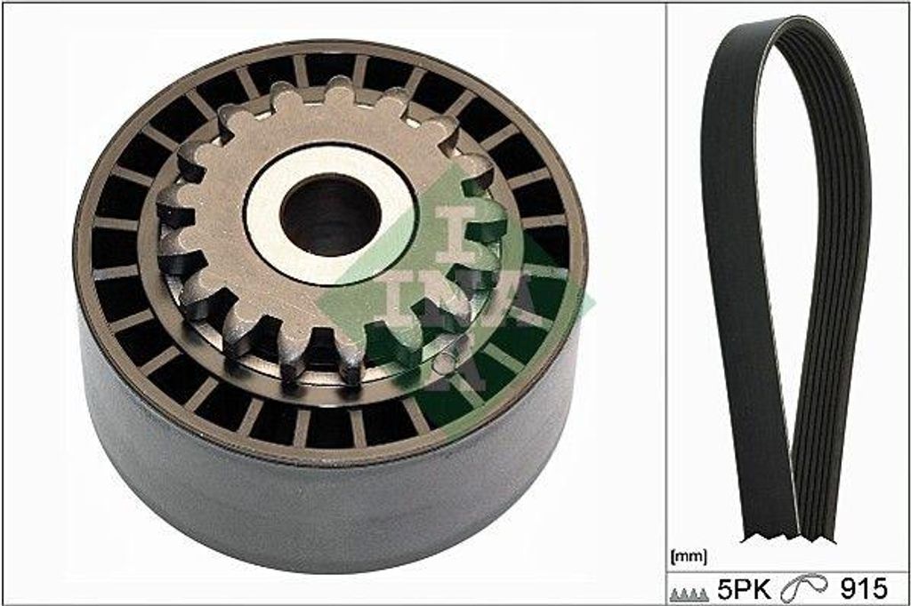 INA 529 0177 10 Keilrippenriemensatz OE 7700867939 kompatibel mit Clio, Kangoo, Twingo